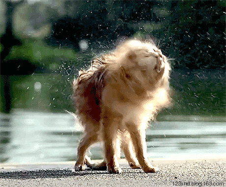 原创我的男朋友怎么越来越骚了五分钟了解男生真的那么奇葩吗