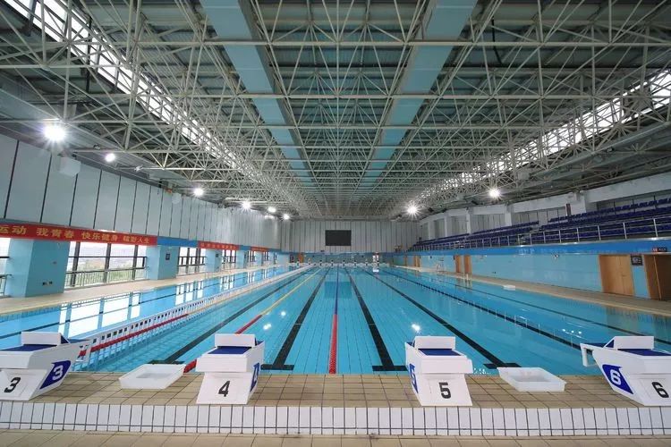 避暑好去处龙港体育馆游泳中心