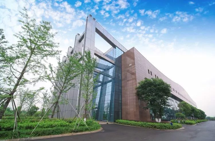 避暑好去处龙港体育馆游泳中心