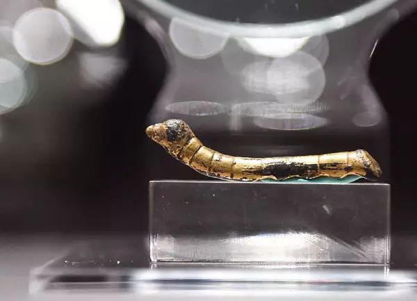 原创│张昌斌:金蚕之歌