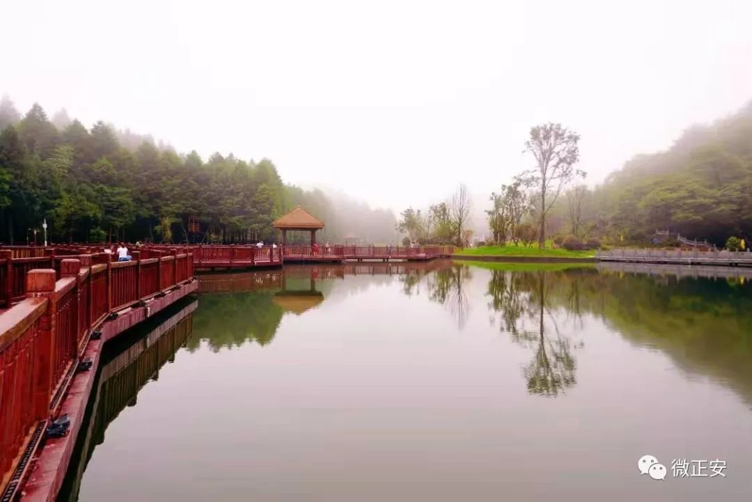 九道水國家森林公園開園啦趁週末一起去打卡吧