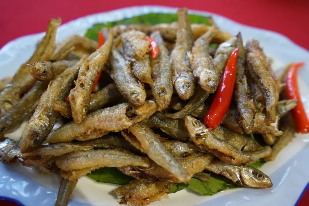 莲都美丽产业瓯江溪鱼