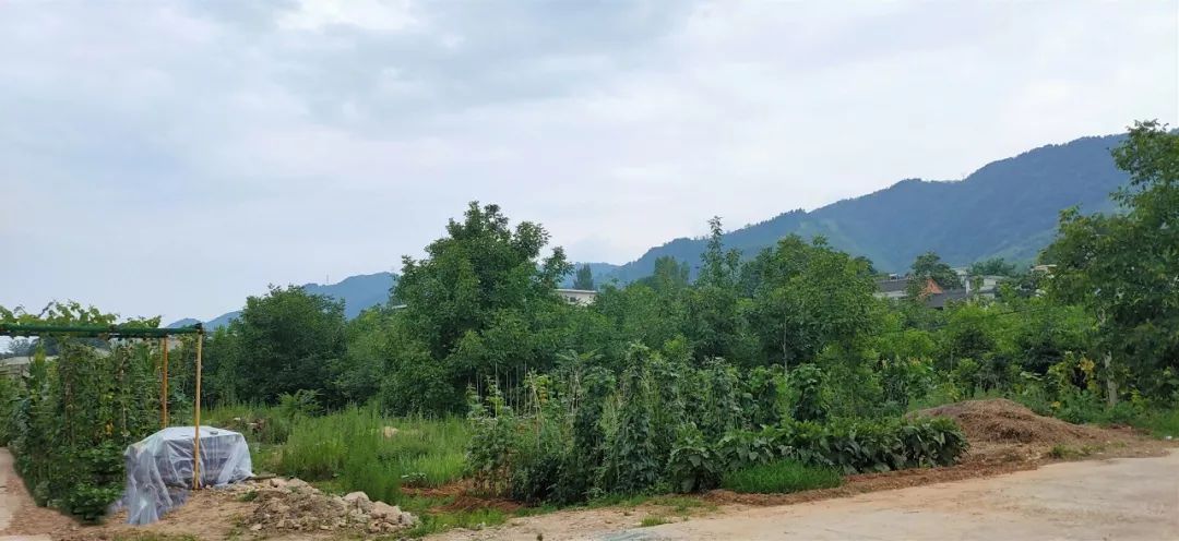 昨天杨峪河发生一起上门诈骗案已有人受骗大家一定要提高警惕