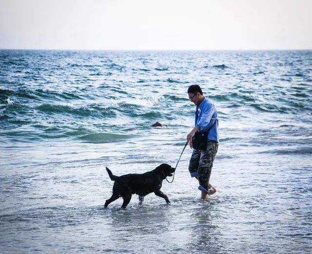 人少景美!还免费!_背仔角