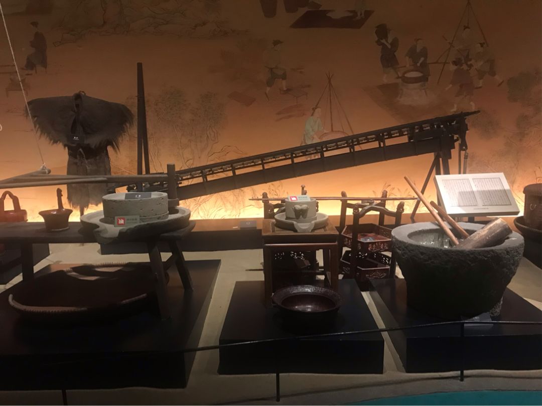 青春实践行探寻宁波追溯历史印记