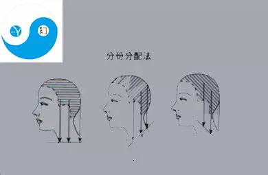 技術分享固體形剪髮技術圖解