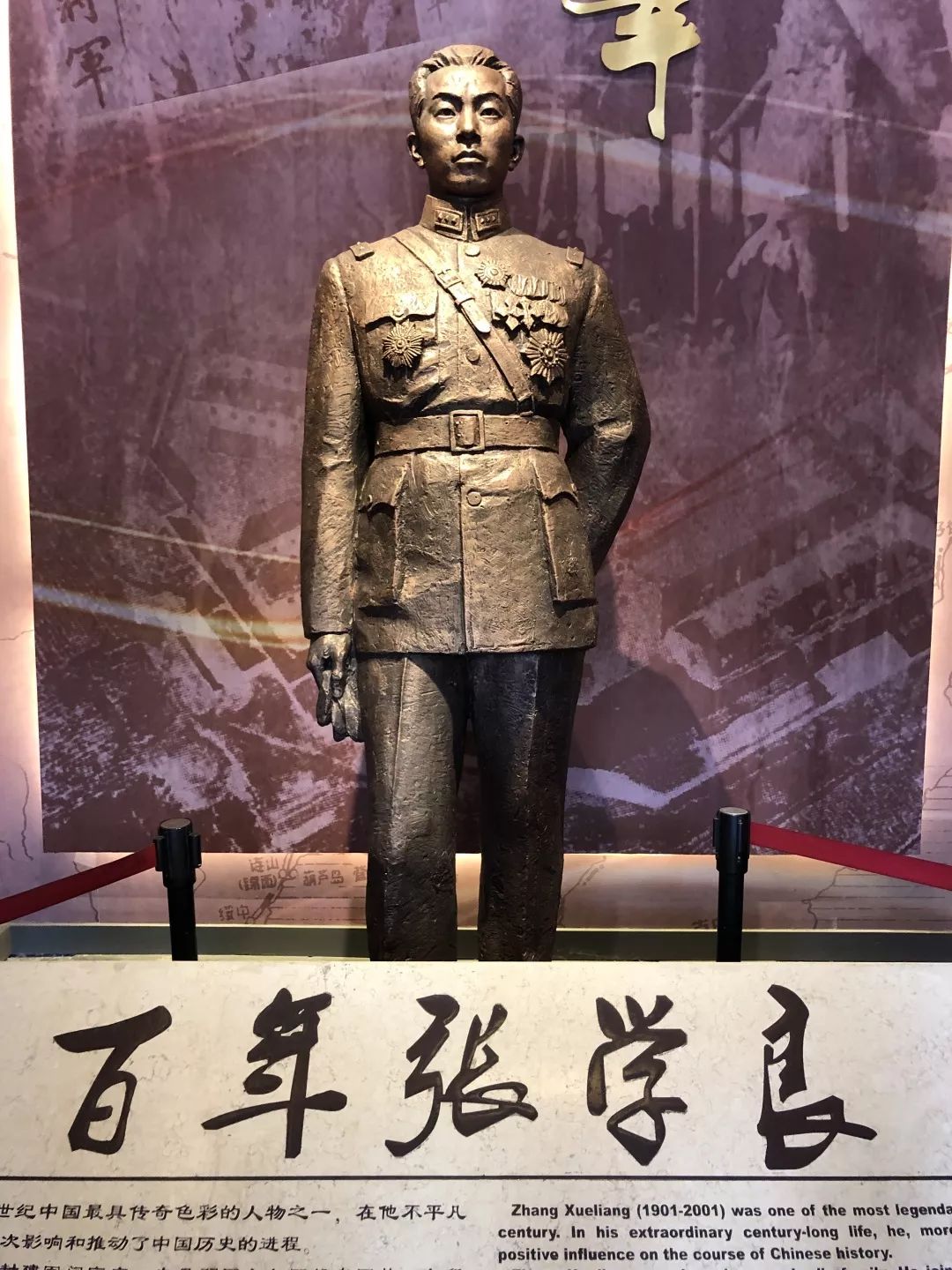 社会实践系列团队风采展示004_张学良