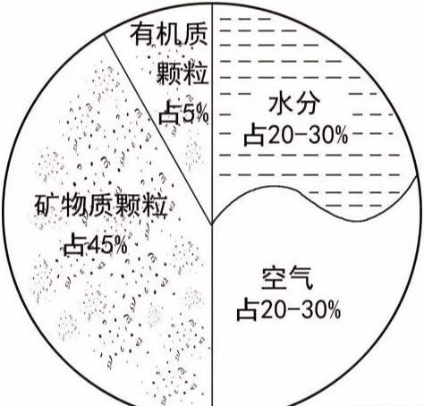 土壤各物质组成比例