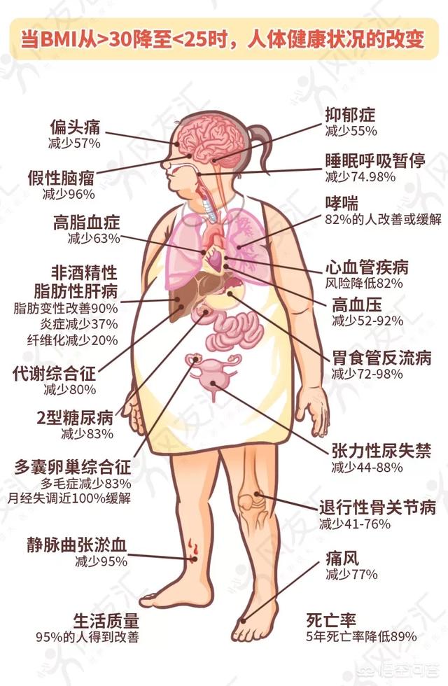 减肥有哪些快速的方法 (减肥有哪些快捷方式)