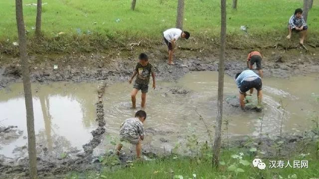 忆小时候徒手抓鱼,日子虽然清贫,但乐此不疲!