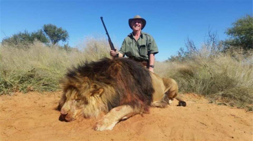 加拿大夫妇猎杀狮子并晒照炫耀不但被群嘲还失去工作和女儿