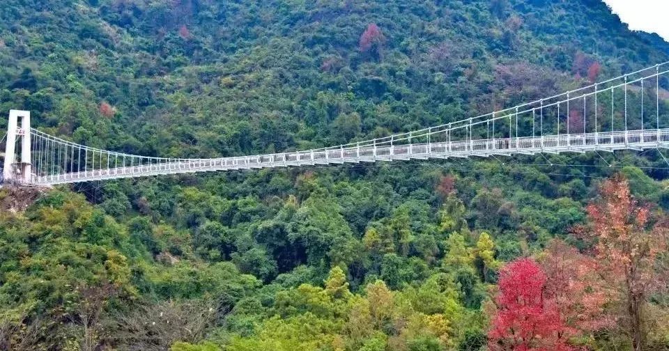 奇幻刺激之旅英德宝晶宫一日游感受急速飞升的天梯