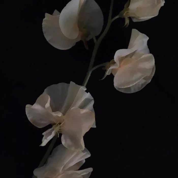 微信朋友圈背景图黑色系