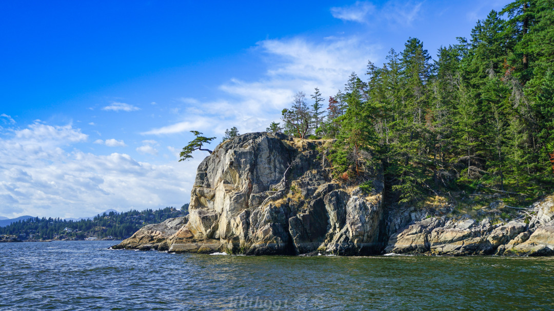 有种鱼不能钓但是出海看它却是格兰维尔岛最酷的项目