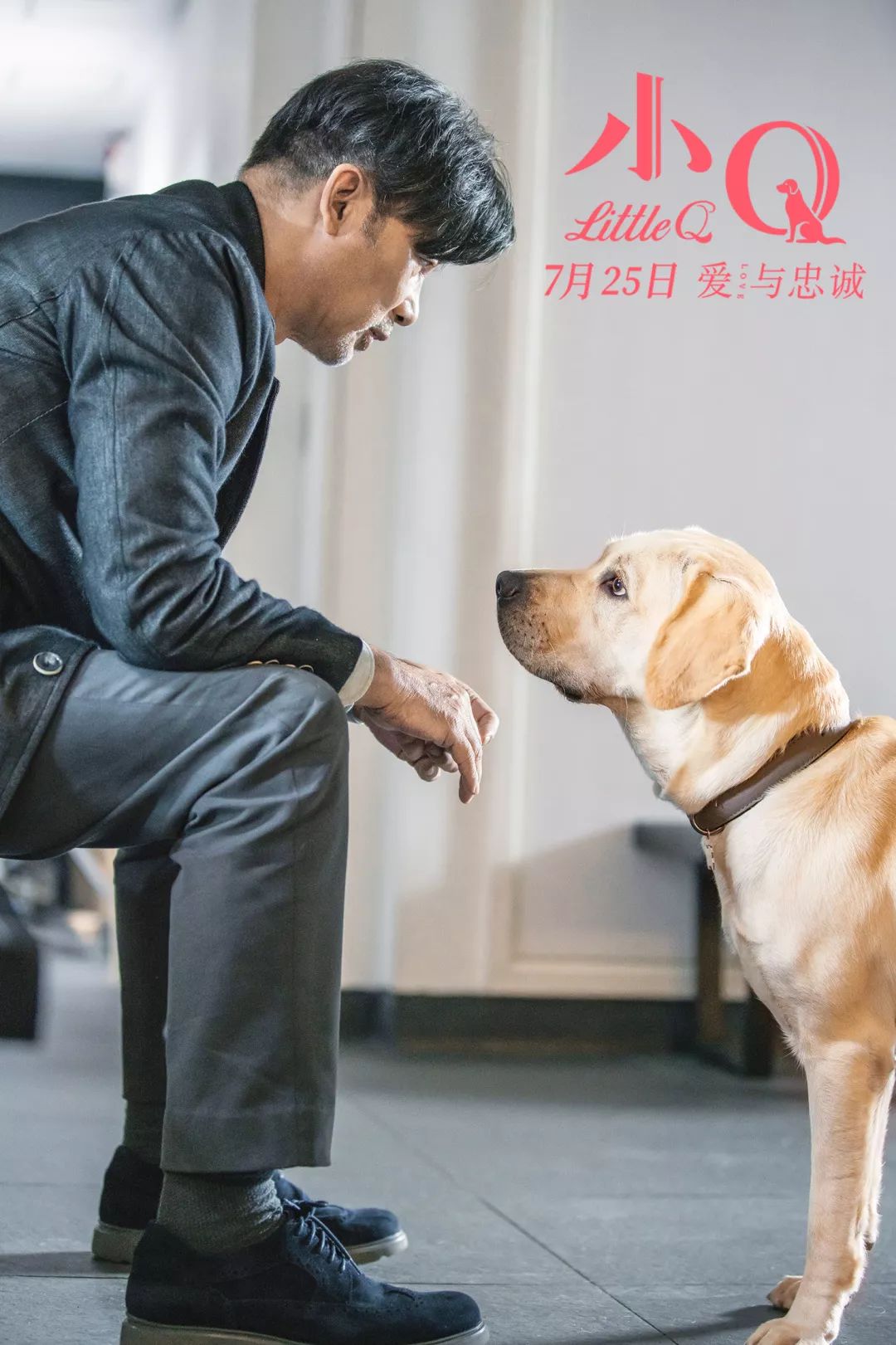 人犬相伴十年风雨 电影《小q》发终极预告海报