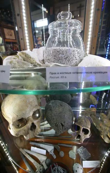 火化后的遗骸,骨骸展示,为游客认识人体进行了科普