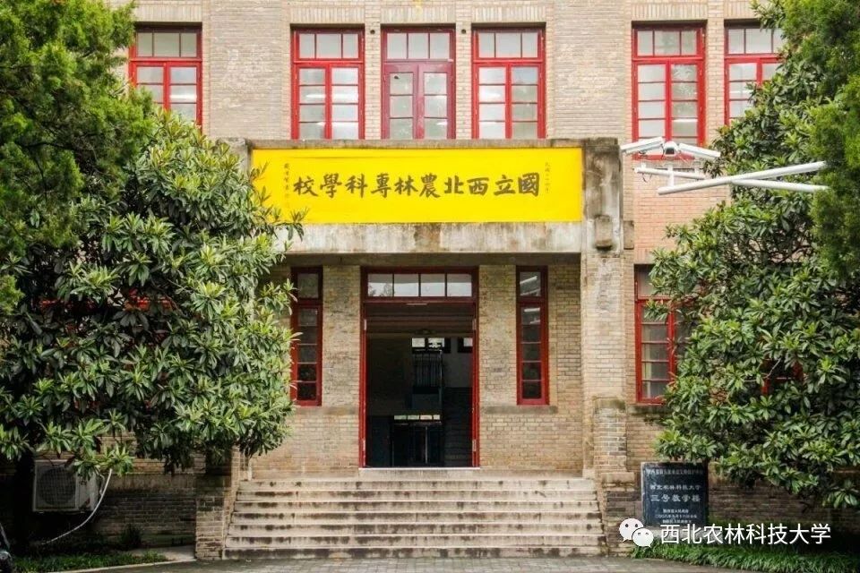 西北农林专科学校图片