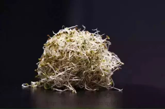 厨房常用70种香草完整版应用大全