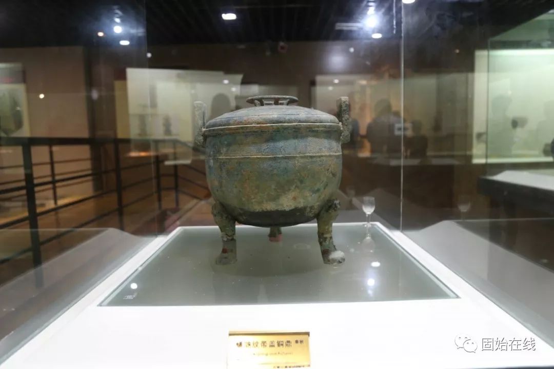 带你走进固始根亲博物馆探寻历史文物真容