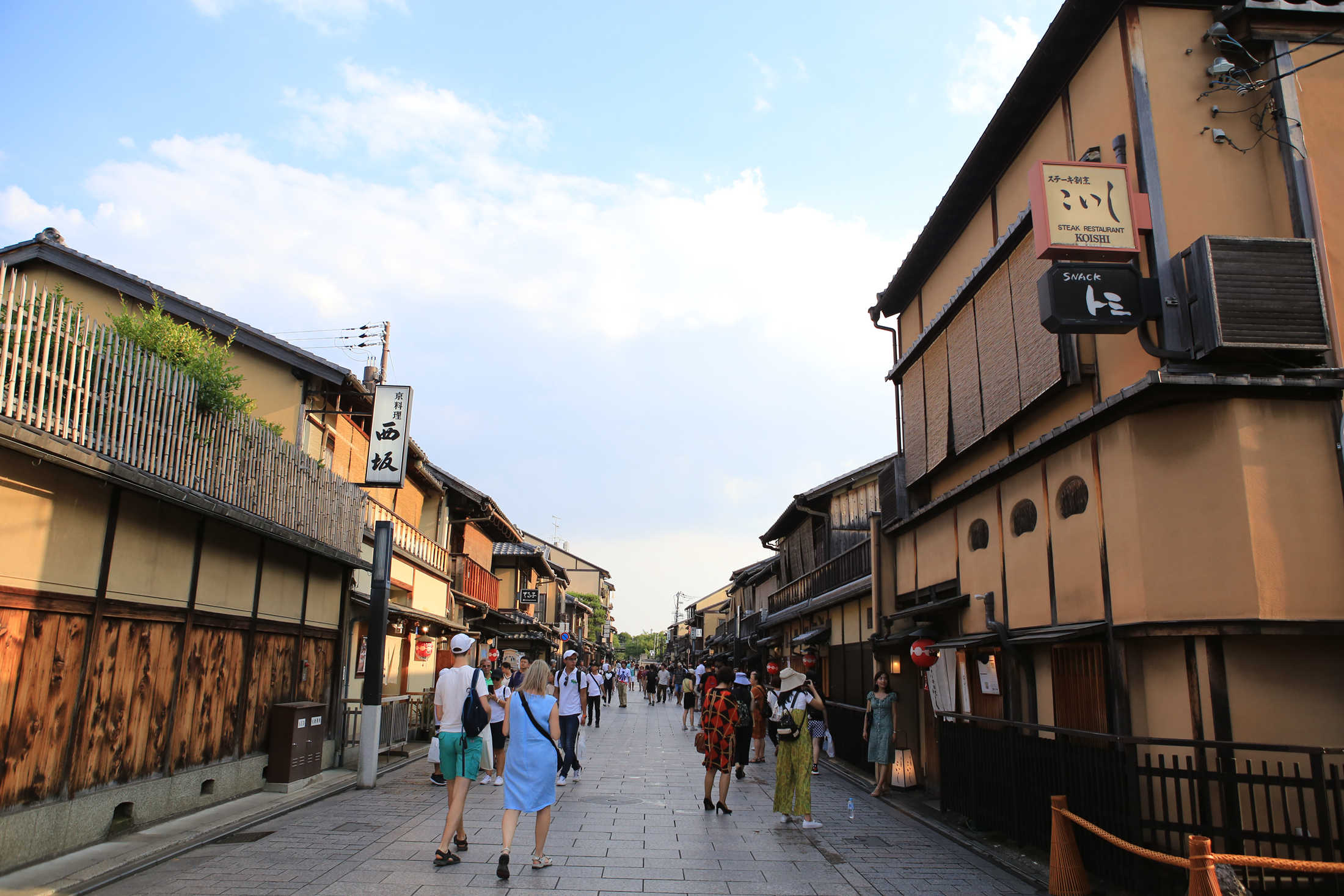 绿意悠悠夏情浓,京都两日保姆级线路攻略