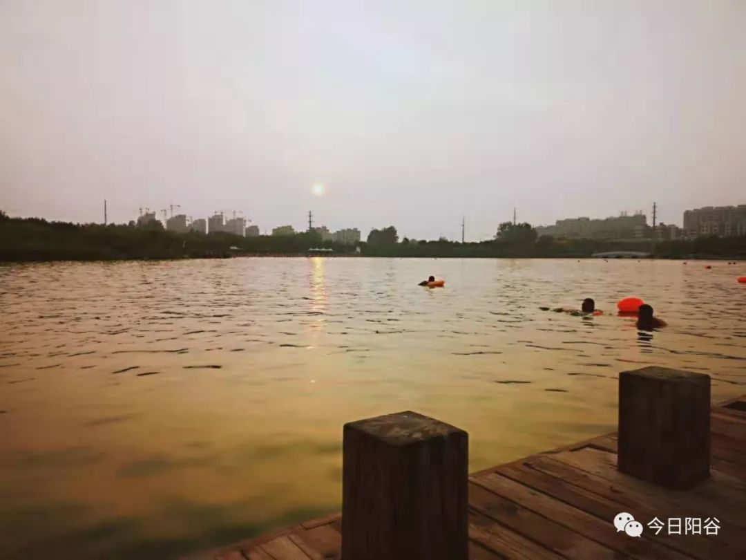 【火速转发】南湖游泳的人爆满,这些常识你得知道,关键时候能救人