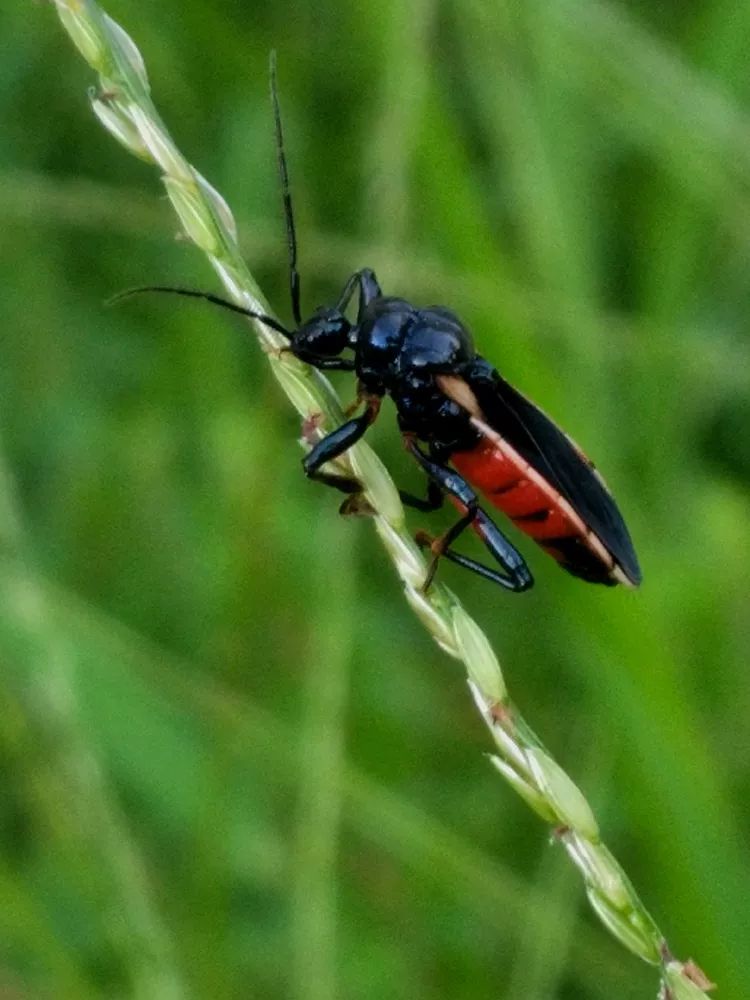 美图分享丨手机摄影佳片有约第821期