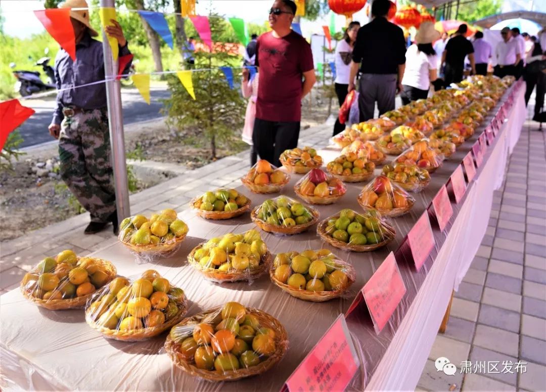 7月的金佛寺硕果累累,花香四溢,金灿灿的杏子挂满枝头,万亩花卉竞相