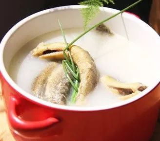 护肝抗肝炎草药溪黄草