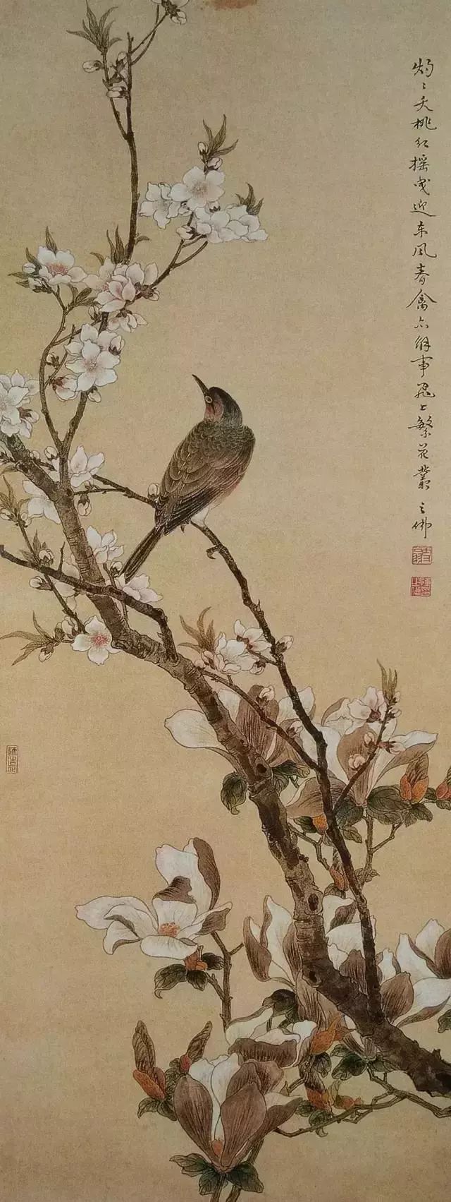 中国画坛工笔花鸟画大师陈之佛的花鸟世界