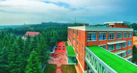 西京小学:品质发展教书育人显成效