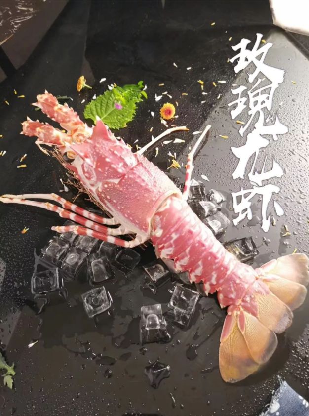 青年卡85折去温岭这家高端日料店打卡新鲜刺身美味寿司100道美食