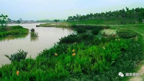湿地生态修复