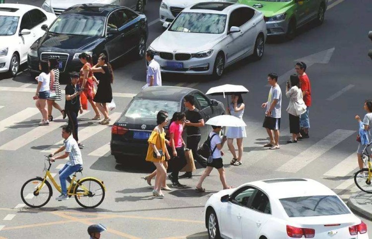 禮讓行人就是停下車?錯了!這樣做才不罰款不扣分