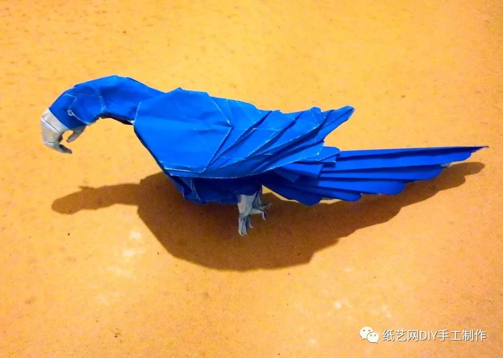 纸艺鹦鹉,从简单到难,满足你们各种口味 (附教程)