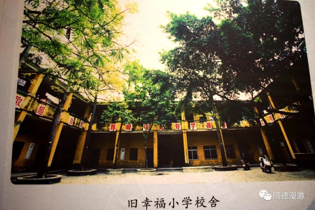 顺德容桂泰安小学图片