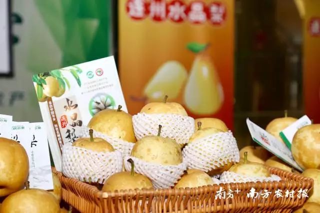 清远这些农特产品让"长三角"消费者们竖起大拇指_连州