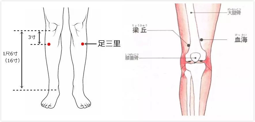 长期登山如何让你的膝盖更长寿