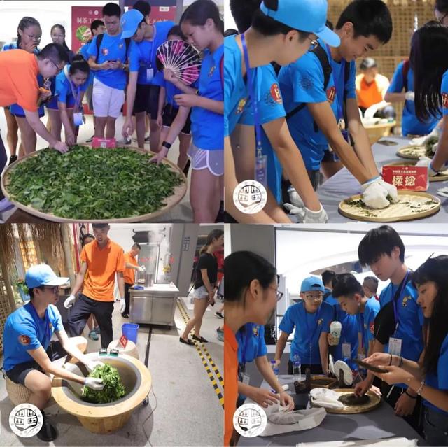 茶荟休闲,品茗购茶的茶友能够深入了解茶从茶叶到成品的整个制作过程