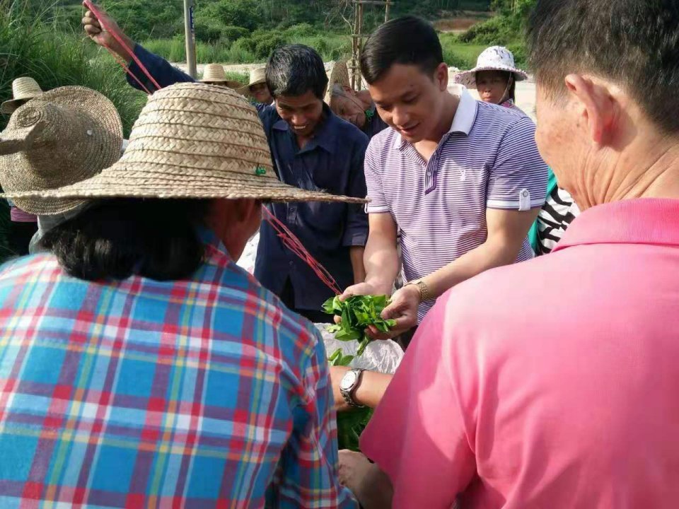 比如在隆安县銮正村,周厚霖先生因地制宜,因利乘