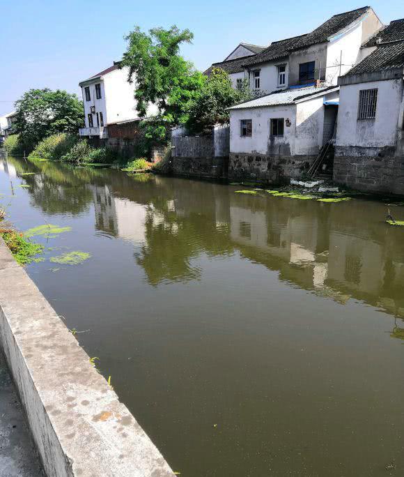 农村小河沟,钓获1.3米"鲶鱼王",却被称垃圾鱼,不敢吃