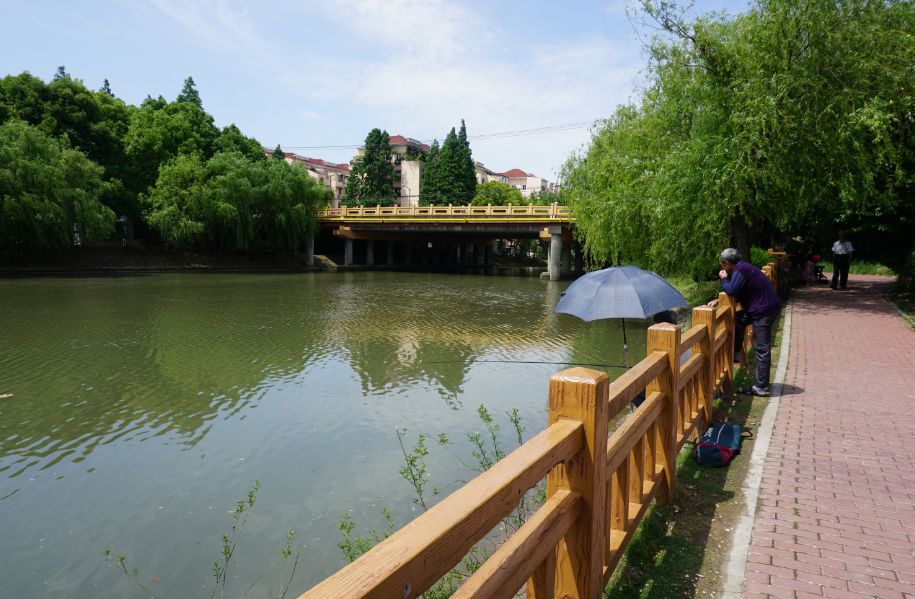 两眼么擦黑还有比夜间春申塘绿地更适合拍鬼片的地方吗