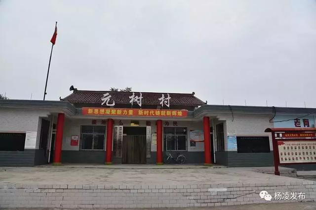 乡村振兴看杨凌组织篇元树村以组织振兴引领乡村振兴