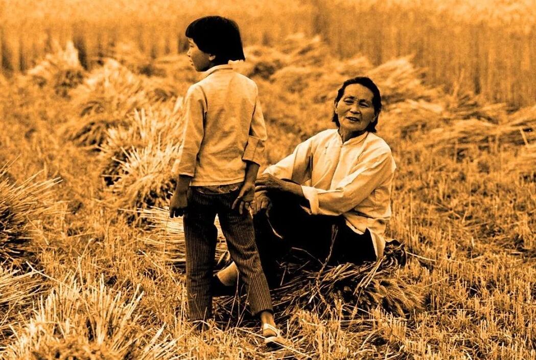 90年代的故事,麦收时间回家过麦