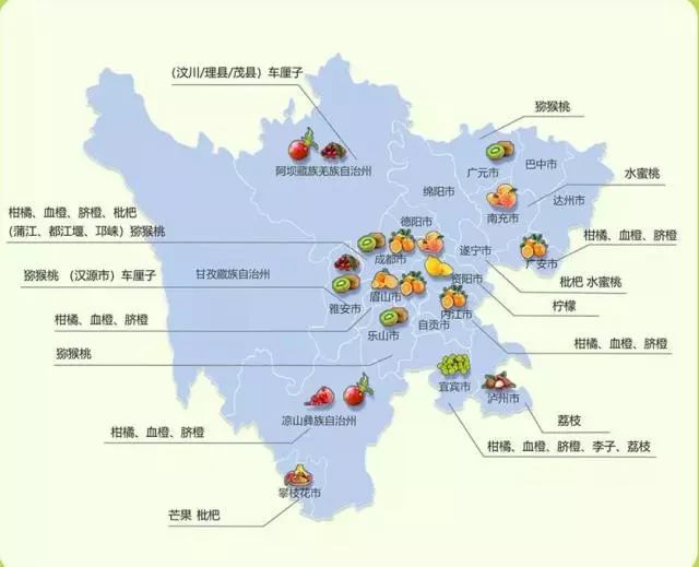 四川水果产地分布意向图新闻多看点申通西南水果电商物流中心正式投入