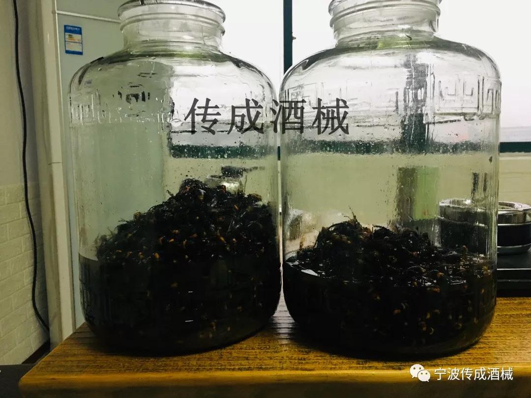 马蜂可以泡酒吗泡酒有什么功效看完值得收藏