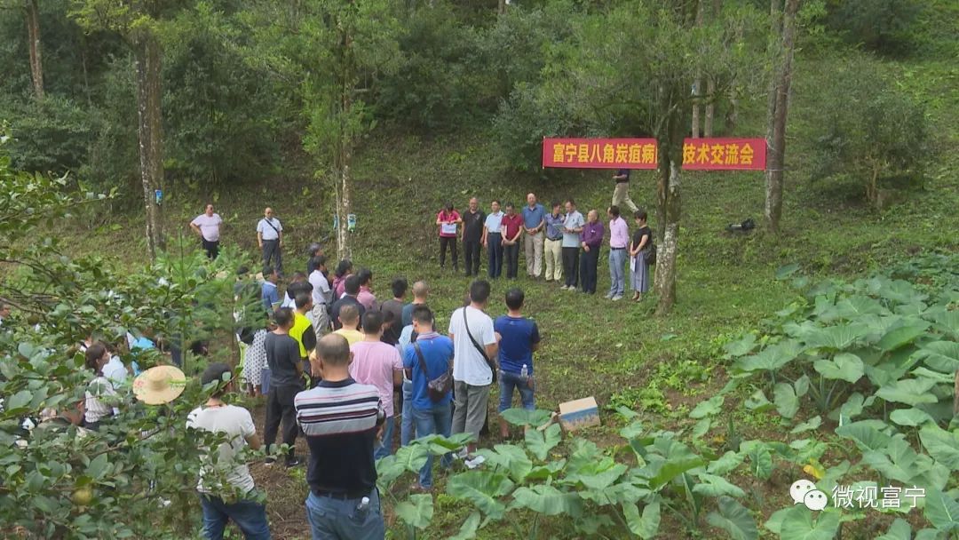 为贯彻落实《云南富宁—广西百色右江区,西林县,田林县,那坡县,靖西