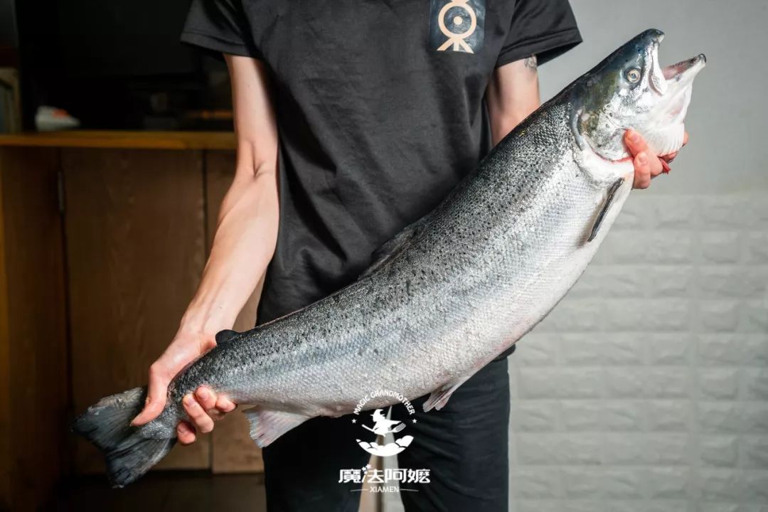 5折日本海钓三文鱼满满黑松露性价比高到逆天
