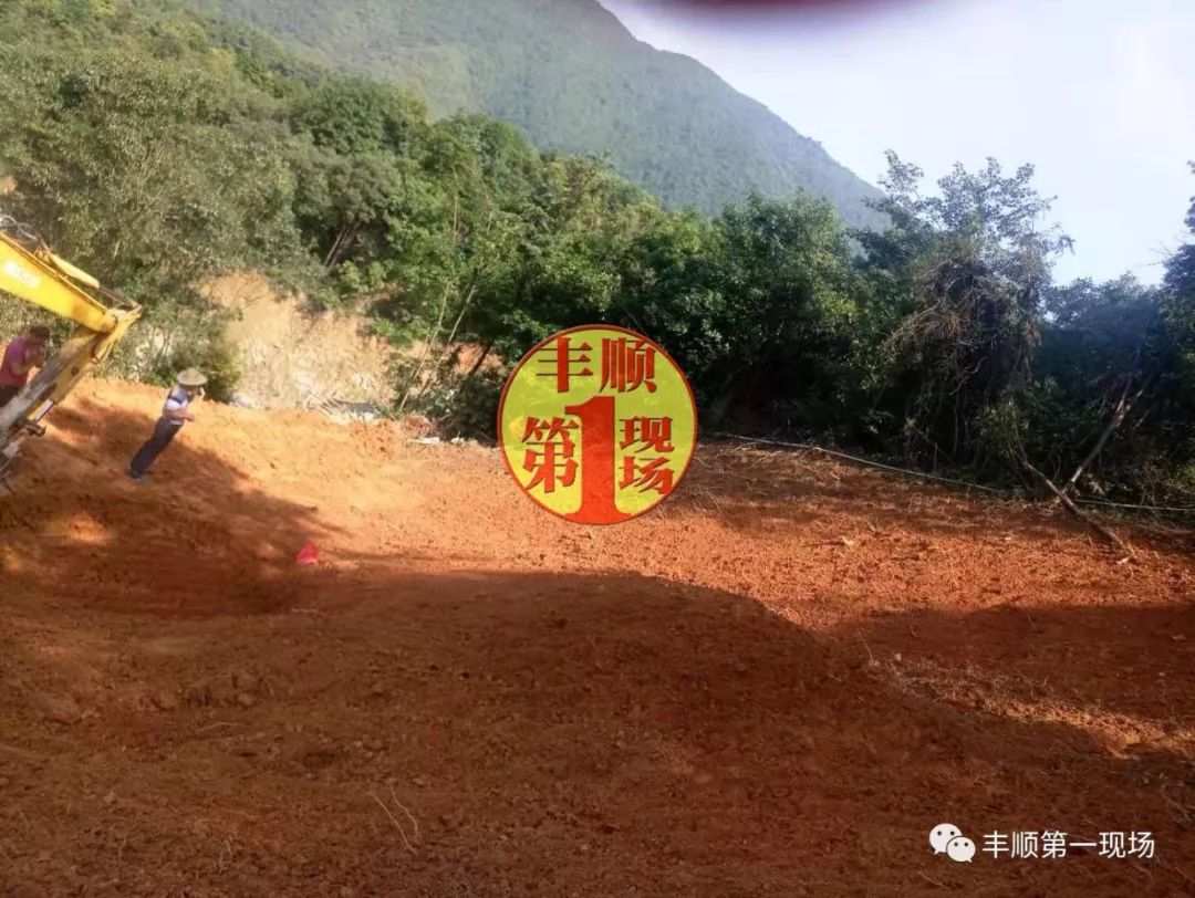 丰顺这名村干部被投诉毁林欲建坟还与村民产生了土地纠纷