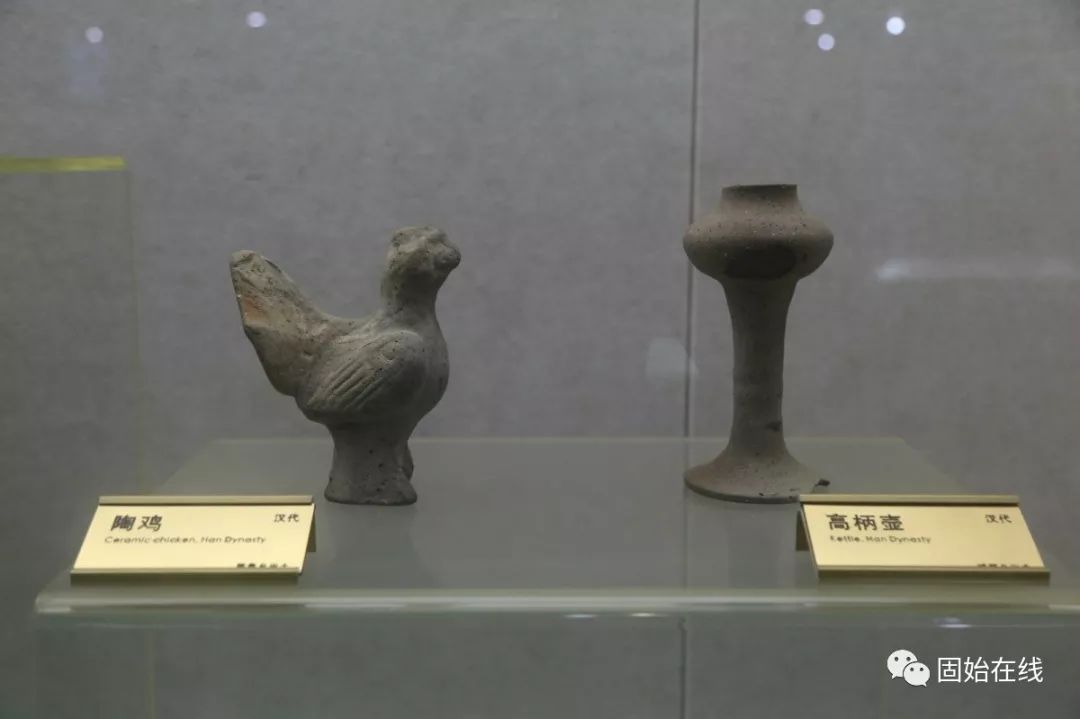 带你走进固始根亲博物馆探寻历史文物真容