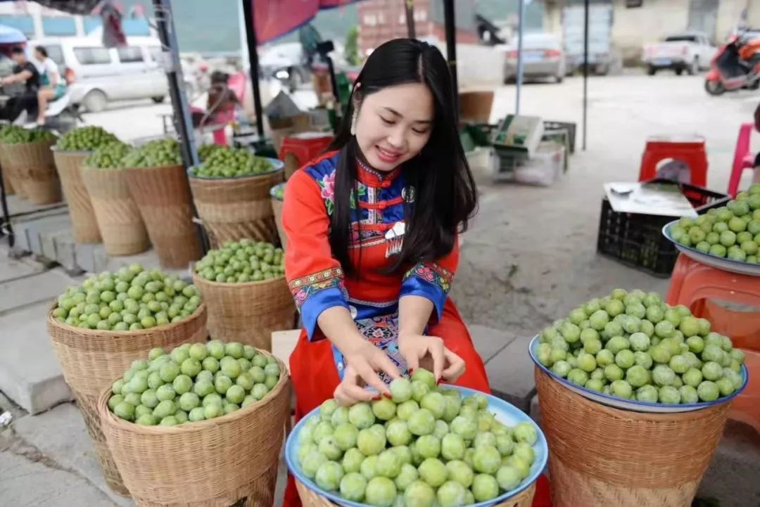 7月16日,在沙子空心李的故乡—贵州沿河,一场以"决战贫困·相约有李